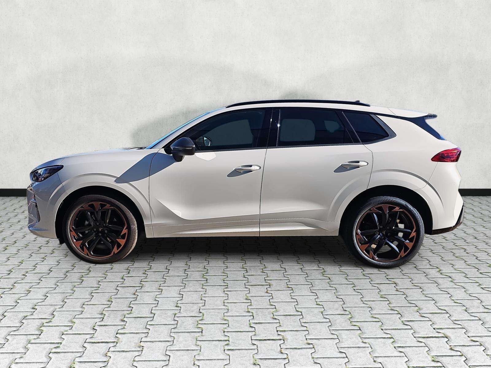 Fahrzeugbild eines CUPRA Terramar