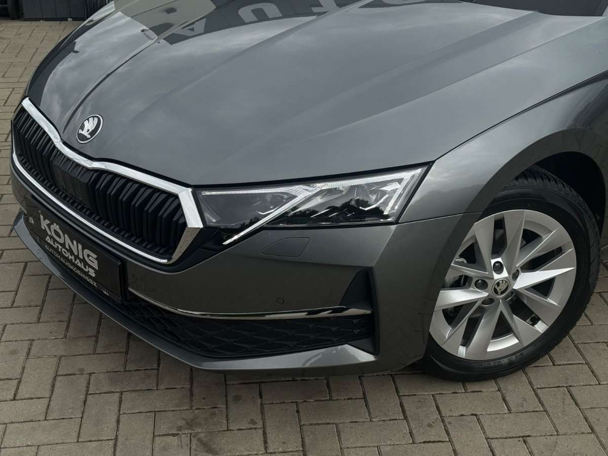 Fahrzeugbild eines Skoda Octavia