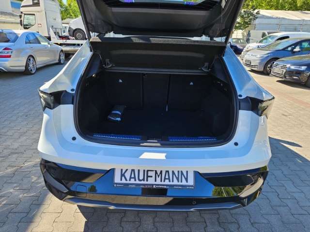 Fahrzeugbild eines Renault Rafale