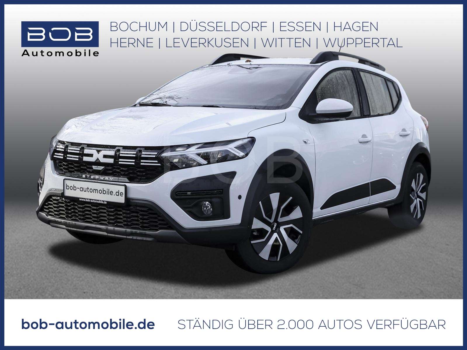 Fahrzeugbild eines Dacia Sandero