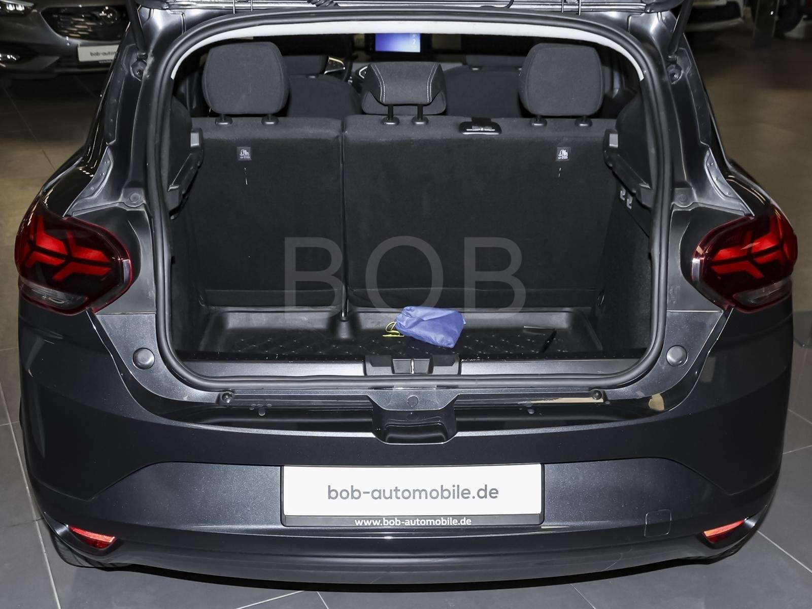 Fahrzeugbild eines Dacia Sandero