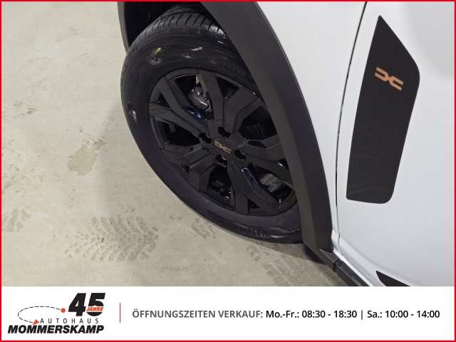 Fahrzeugbild eines Dacia Jogger