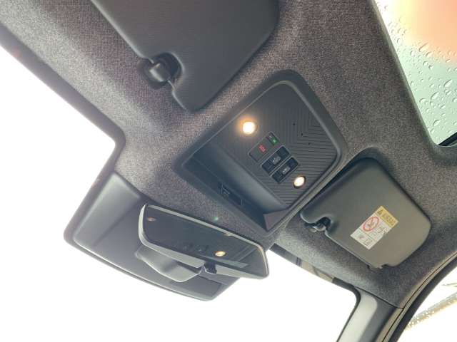Fahrzeugbild eines Dacia Bigster