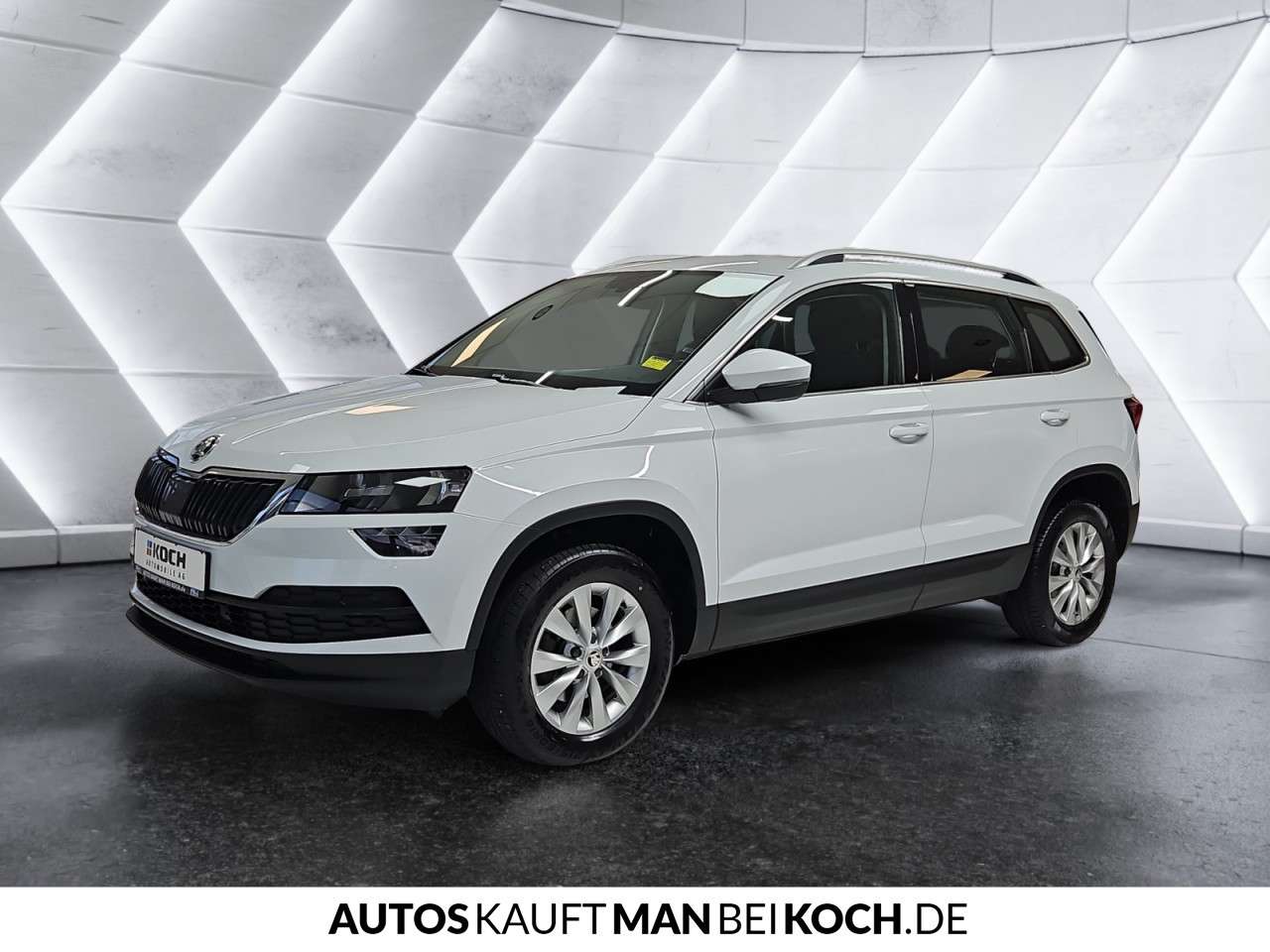 Fahrzeugbild eines Skoda Karoq