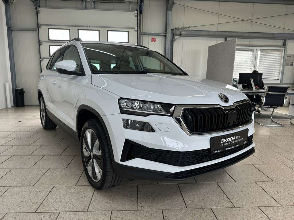 Fahrzeugbild eines Skoda Karoq