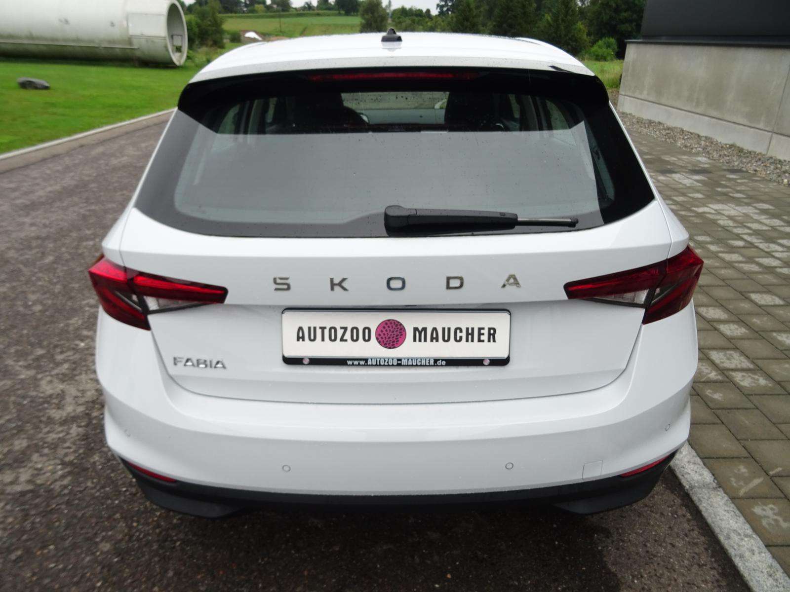 Fahrzeugbild eines Skoda Fabia