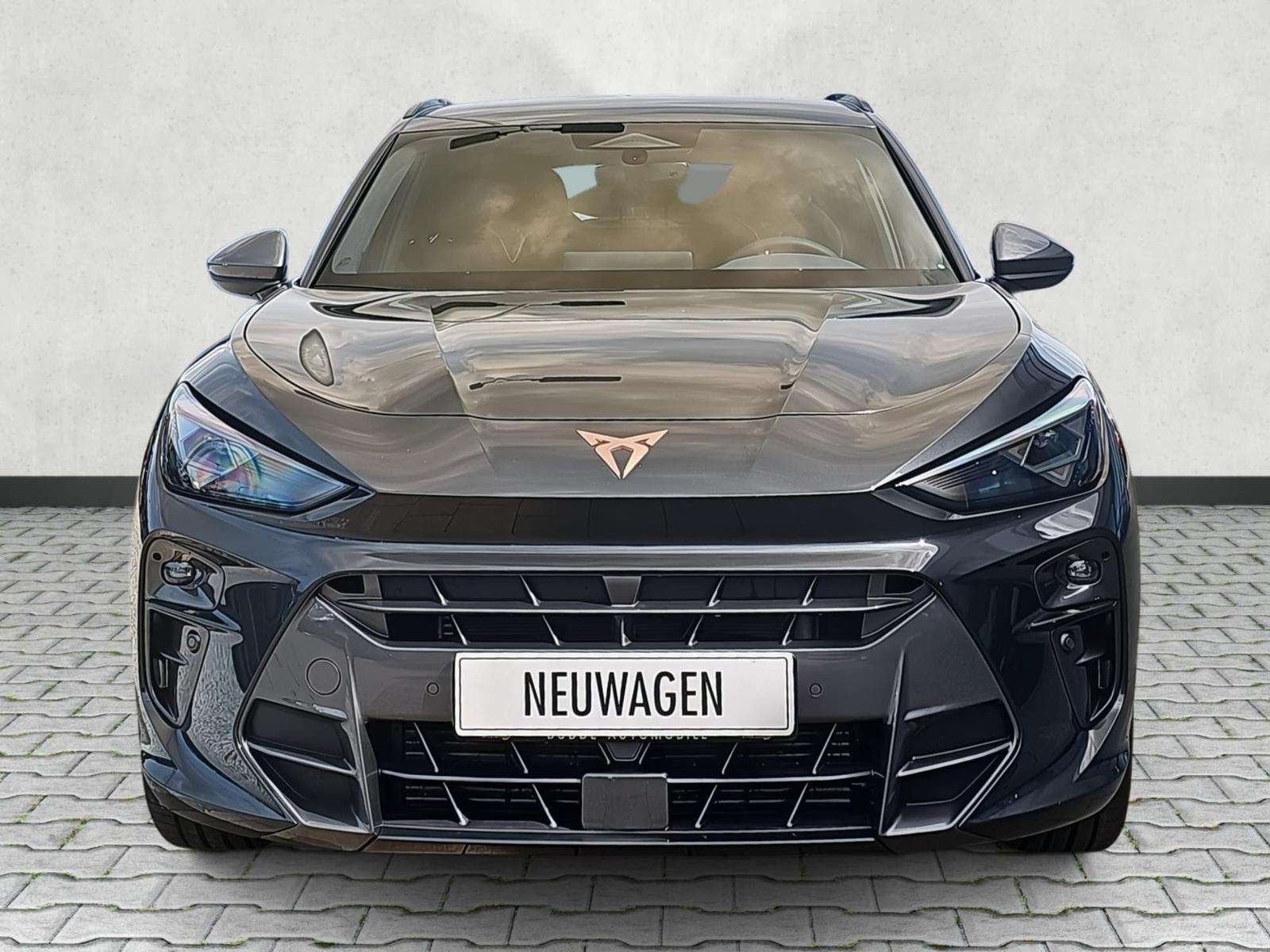Fahrzeugbild eines CUPRA Terramar