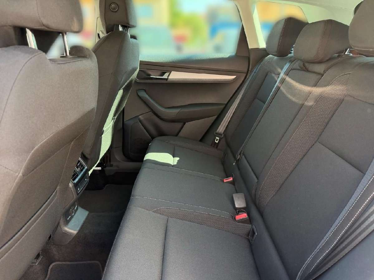 Fahrzeugbild eines Skoda Karoq