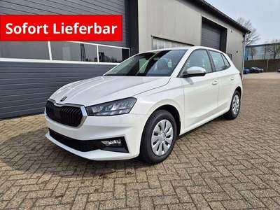 Bild Skoda Fabia