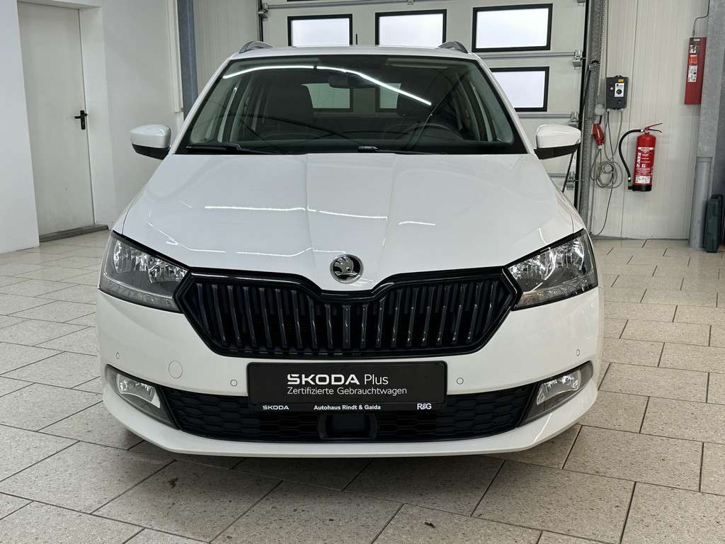 Fahrzeugbild eines Skoda Fabia