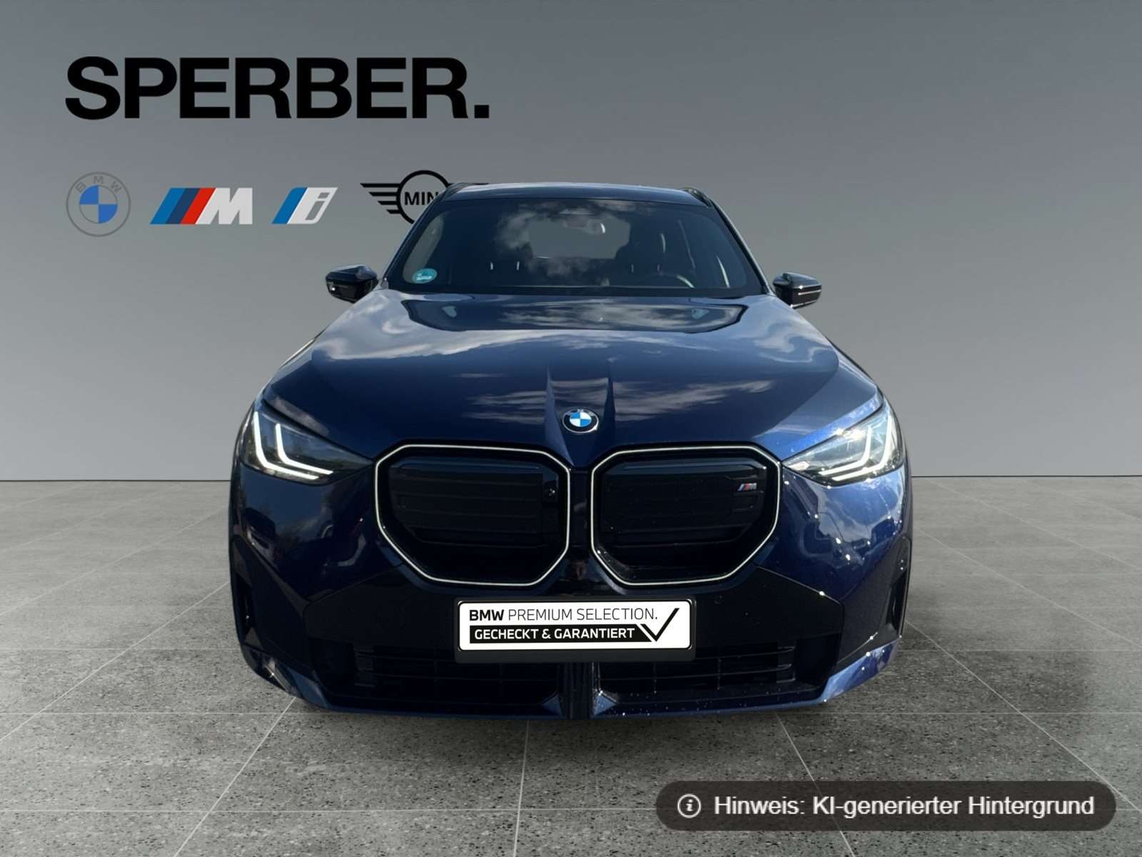Fahrzeugbild eines BMW X3