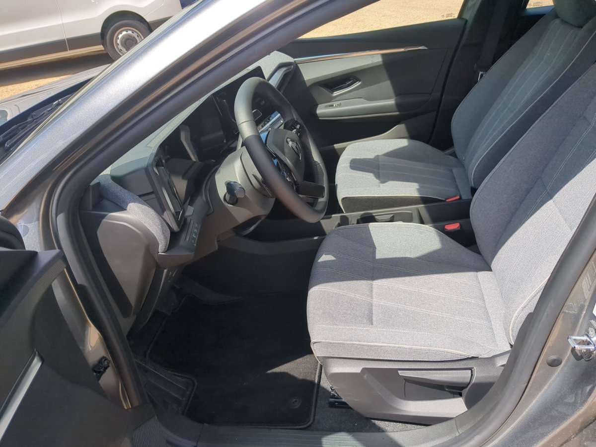 Fahrzeugbild eines Renault Mégane
