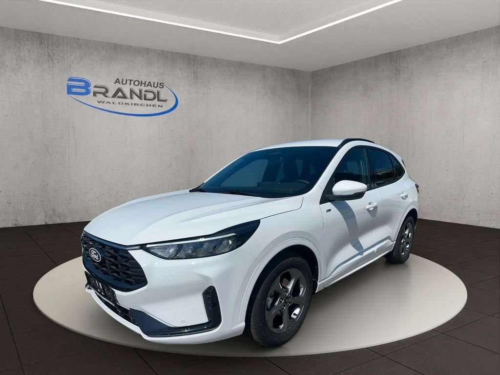 Fahrzeugbild eines Ford Kuga