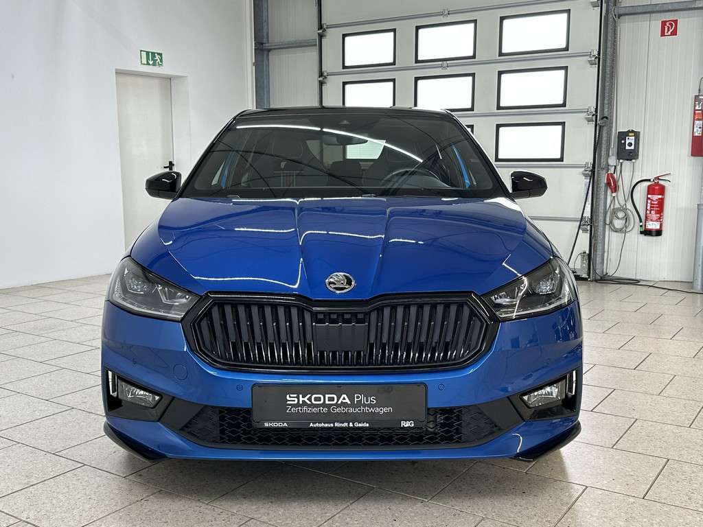 Fahrzeugbild eines Skoda Fabia