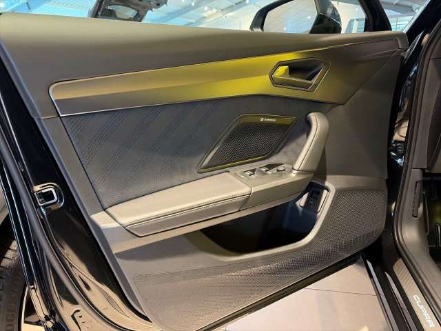 Fahrzeugbild eines CUPRA Formentor