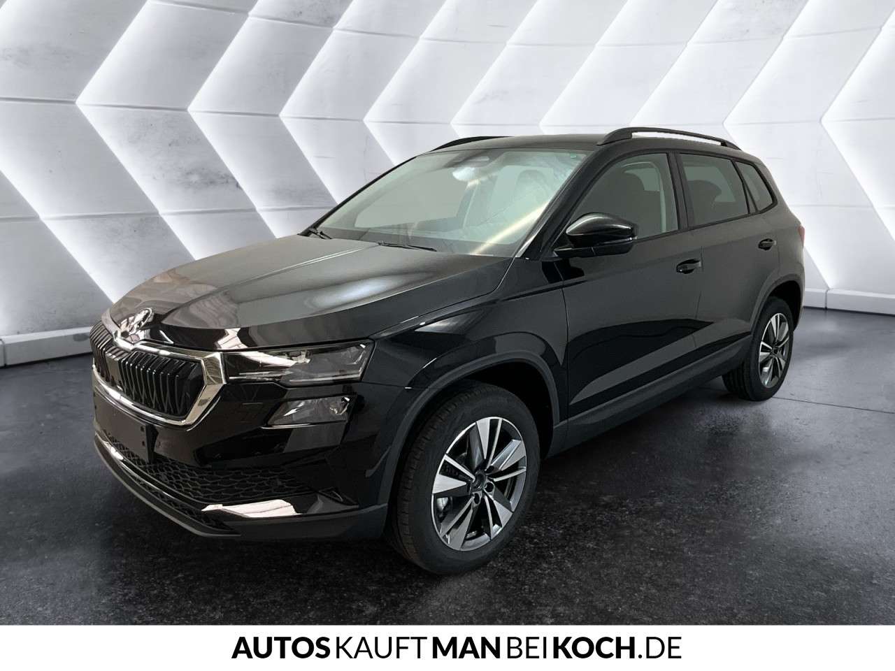 Fahrzeugbild eines Skoda Karoq