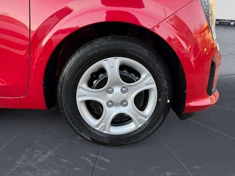 Fahrzeugbild eines Kia Picanto
