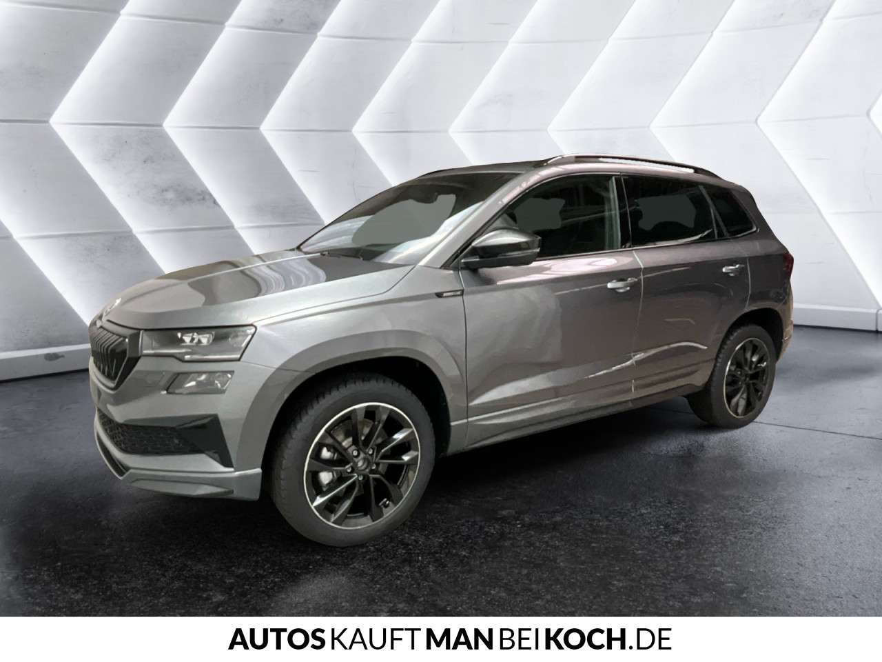 Fahrzeugbild eines Skoda Karoq
