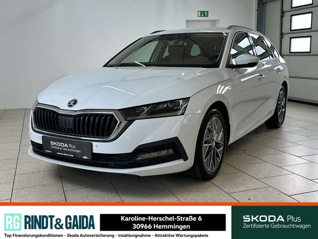 Fahrzeugbild eines Skoda Octavia