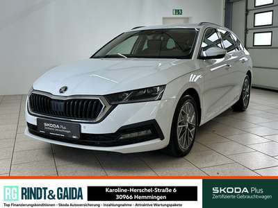 Bild Skoda Octavia