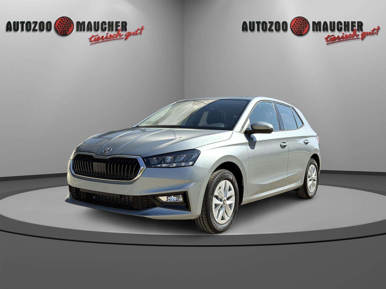 Fahrzeugbild eines Skoda Fabia