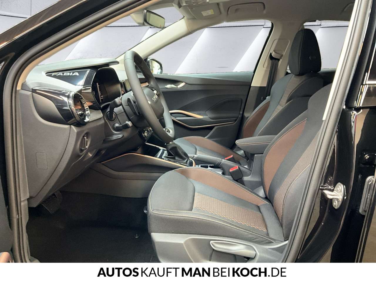 Fahrzeugbild eines Skoda Fabia