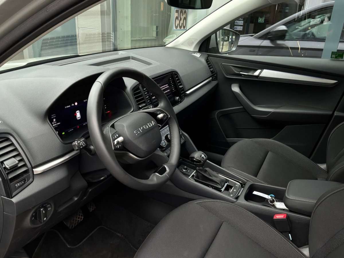 Fahrzeugbild eines Skoda Karoq