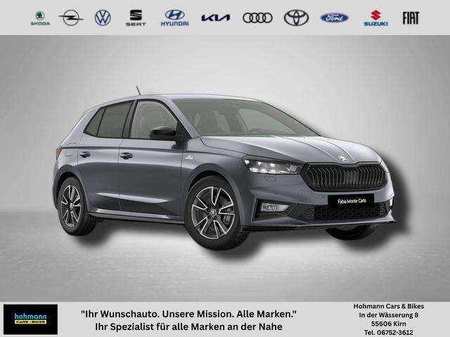 Fahrzeugbild eines Skoda Fabia