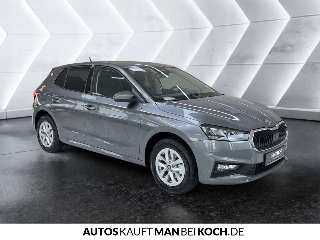 Fahrzeugbild eines Skoda Fabia