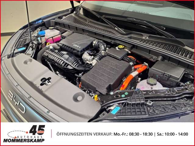 Fahrzeugbild eines BYD Atto 2