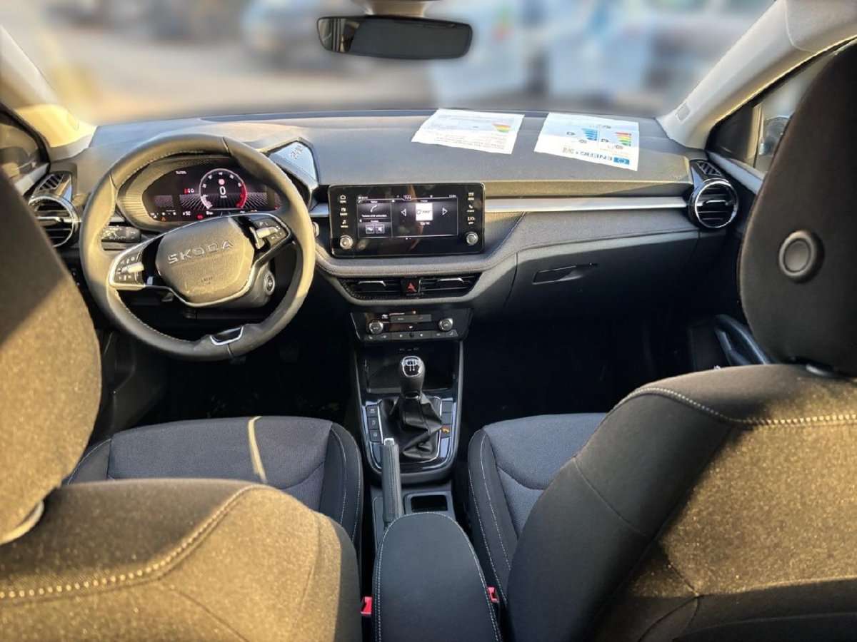 Fahrzeugbild eines Skoda Fabia