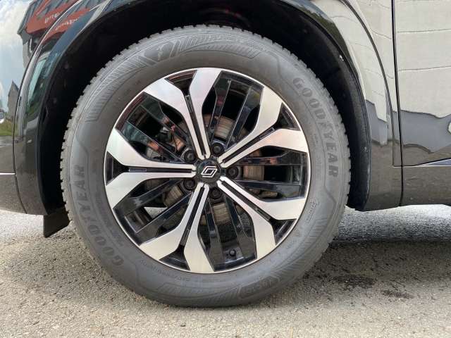 Fahrzeugbild eines Renault Austral