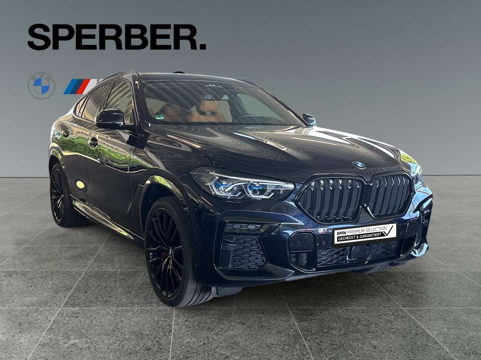Fahrzeugbild eines BMW X6