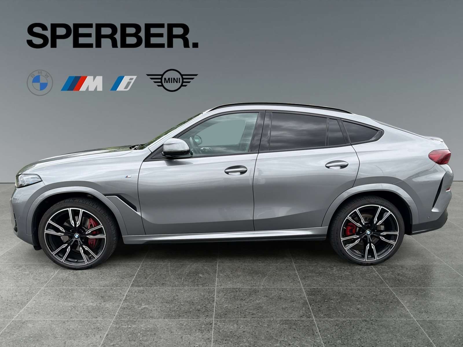 Fahrzeugbild eines BMW X6