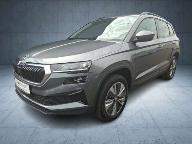 Fahrzeugbild eines Skoda Karoq