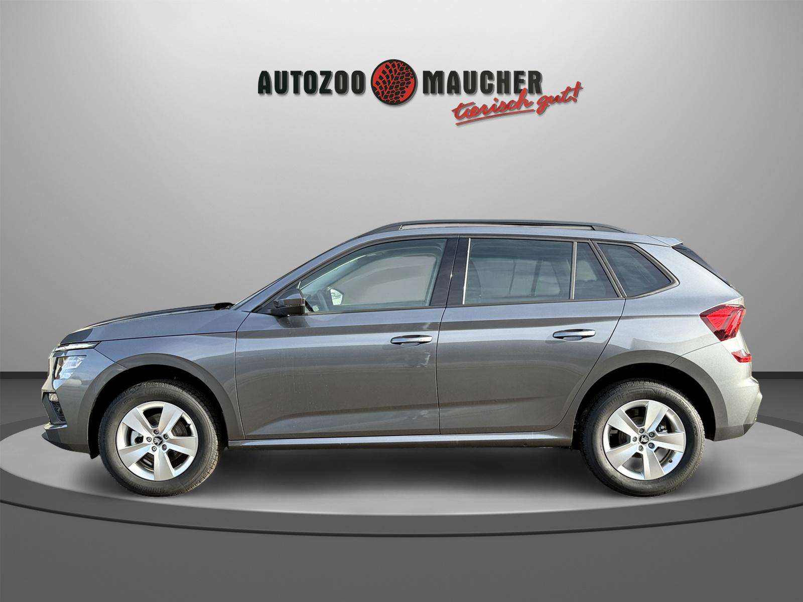 Fahrzeugbild eines Skoda Kamiq