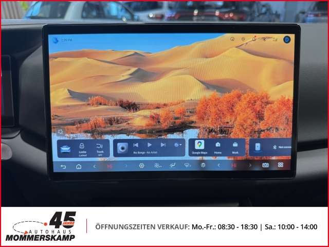 Fahrzeugbild eines BYD Atto 2