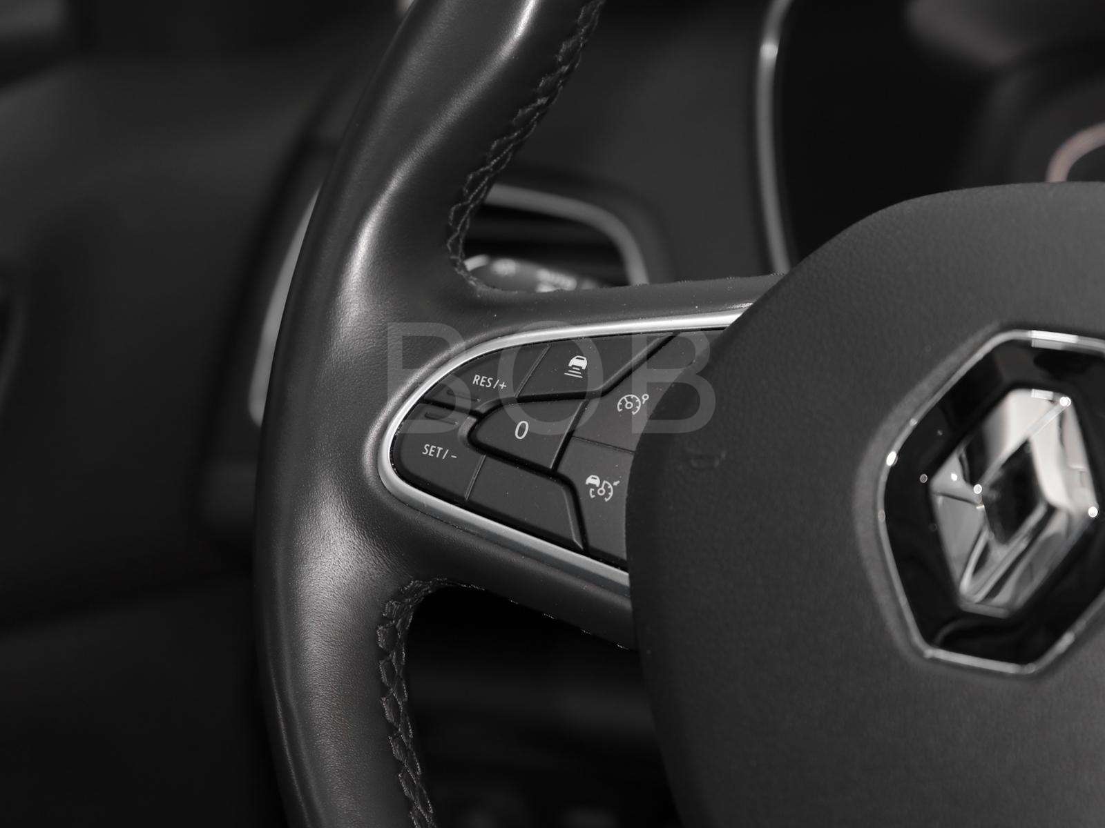 Fahrzeugbild eines Renault Mégane