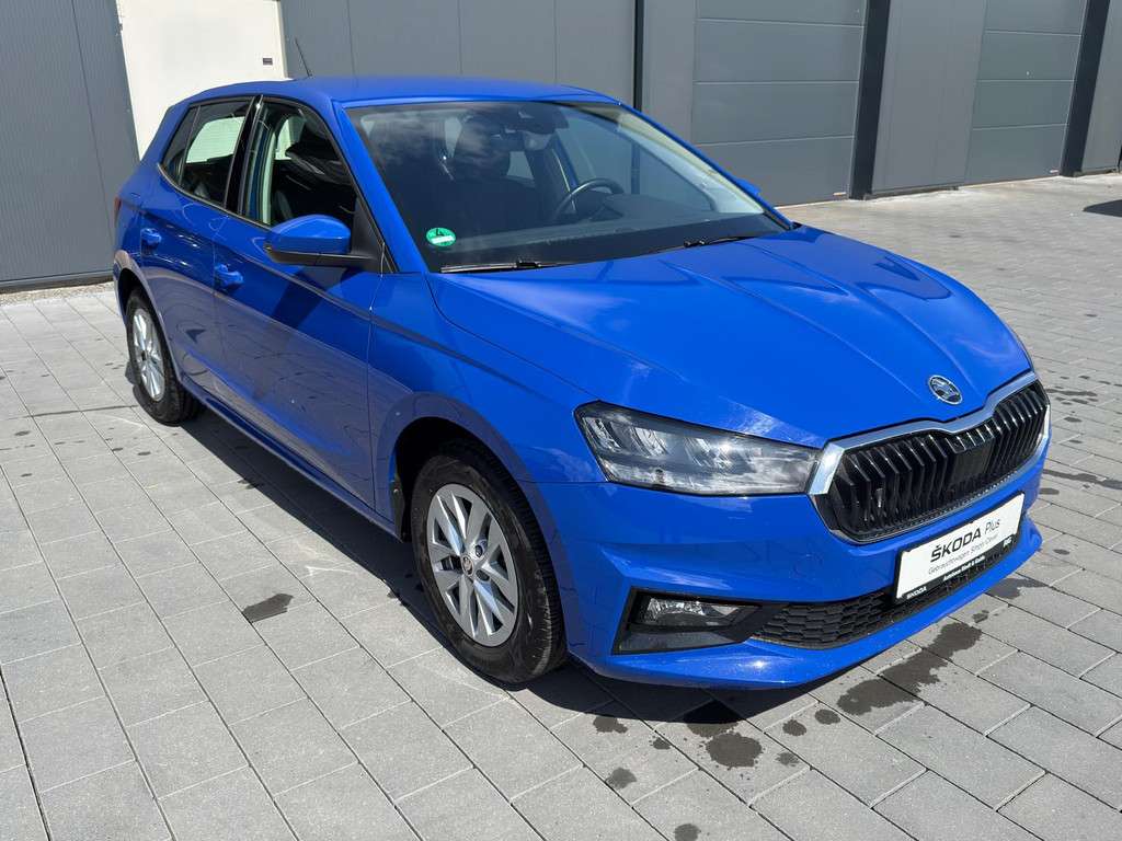 Fahrzeugbild eines Skoda Fabia