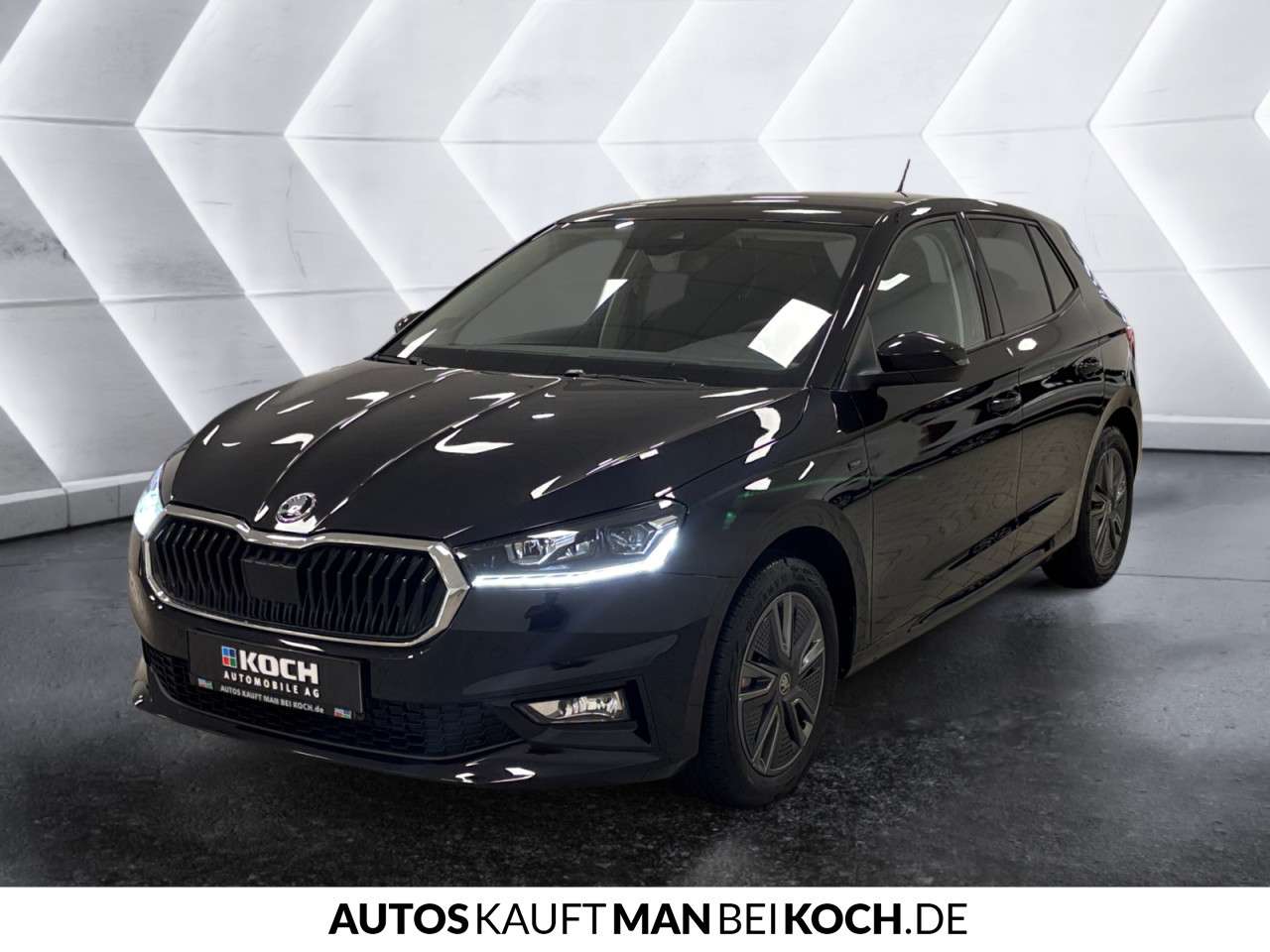 Fahrzeugbild eines Skoda Fabia