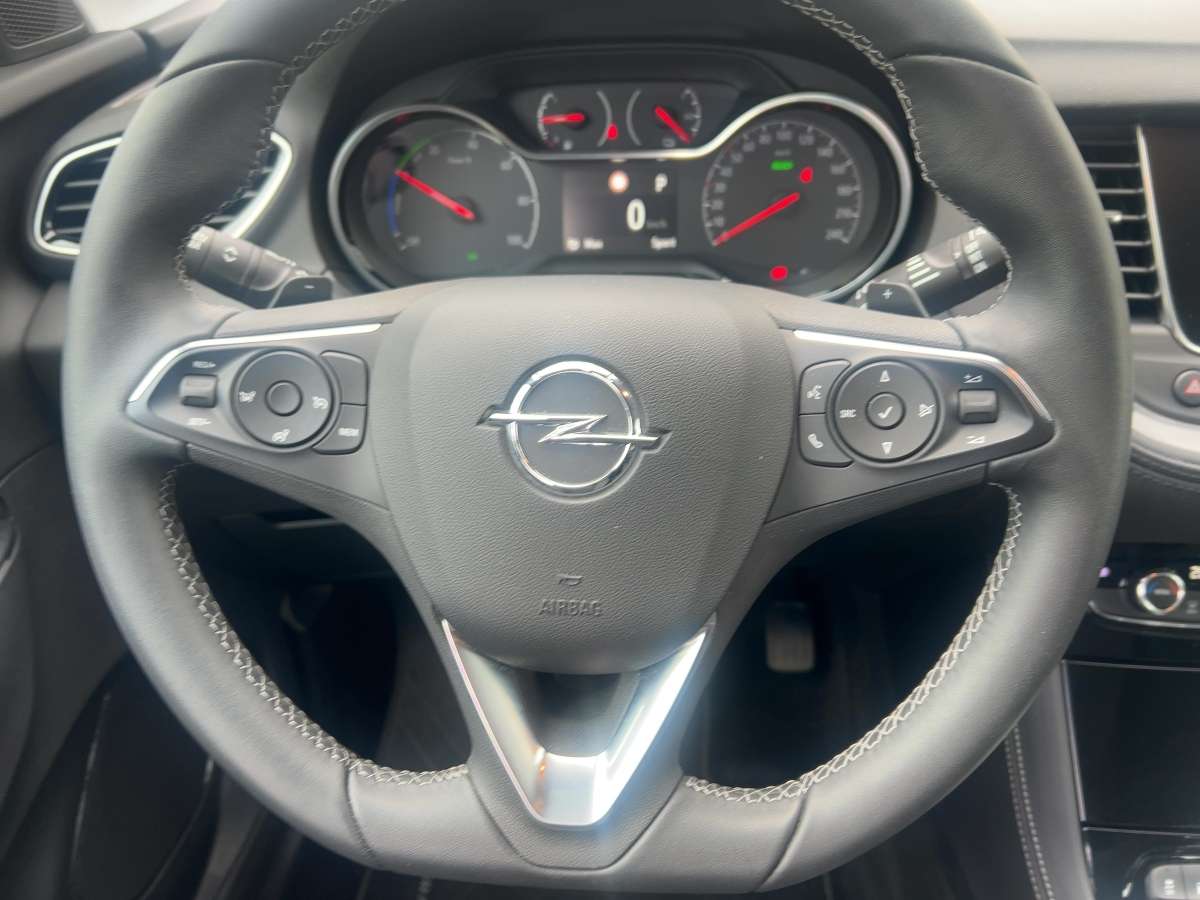 Fahrzeugbild eines Opel Grandland X