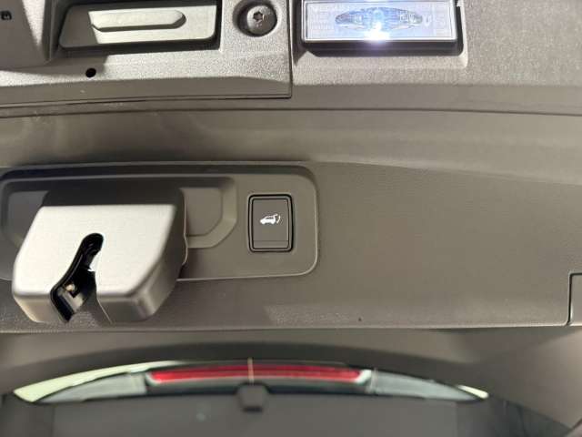 Fahrzeugbild eines Mitsubishi Grandis