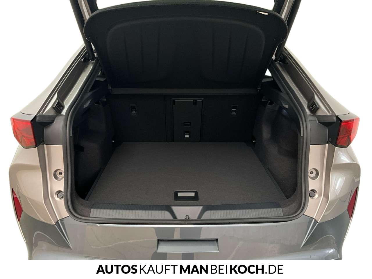 Fahrzeugbild eines CUPRA Tavascan