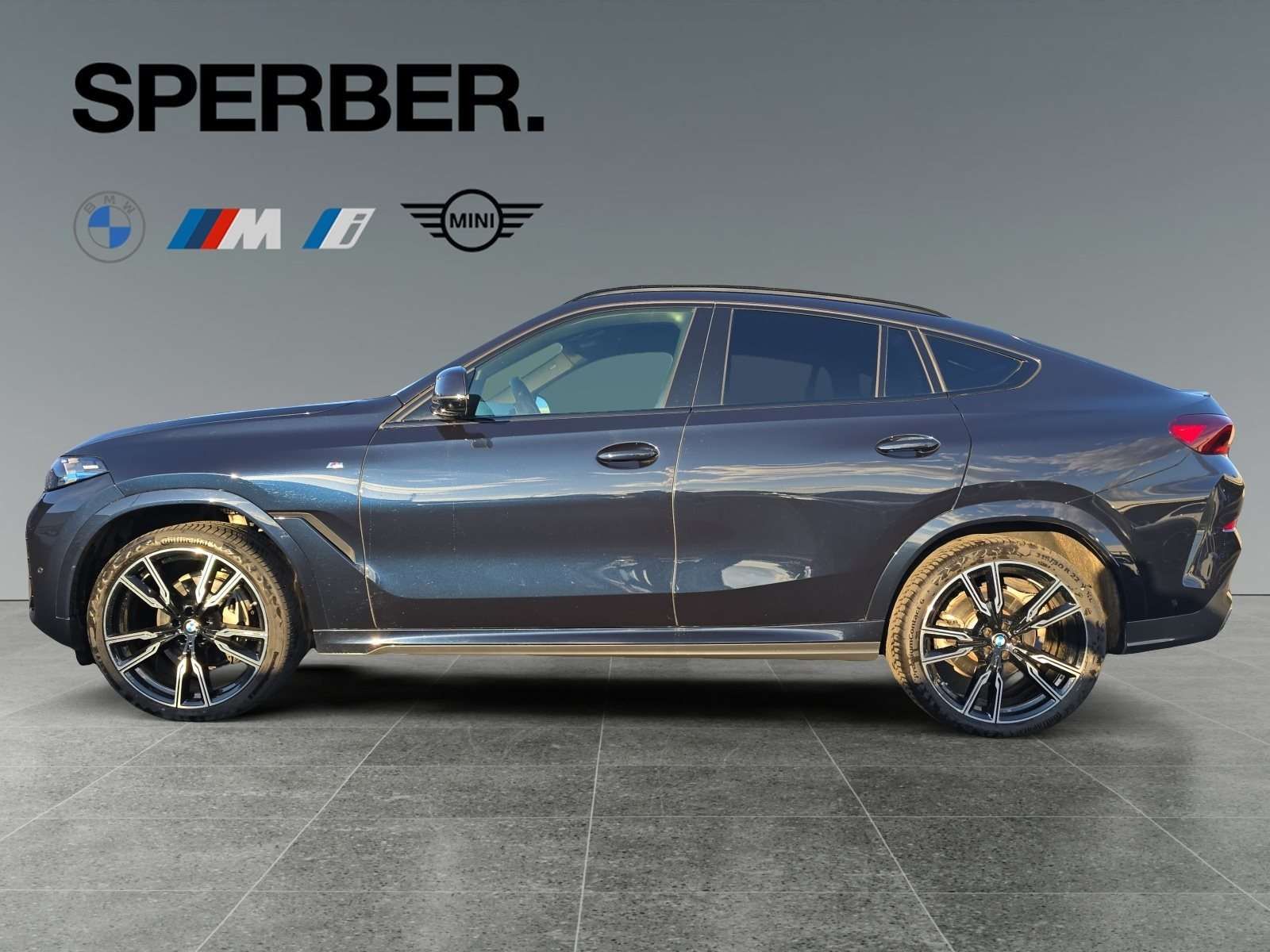 Fahrzeugbild eines BMW X6