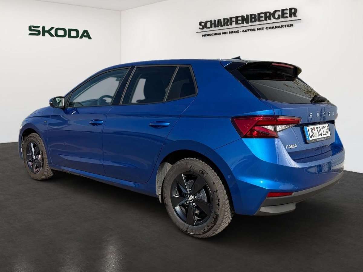 Fahrzeugbild eines Skoda Fabia