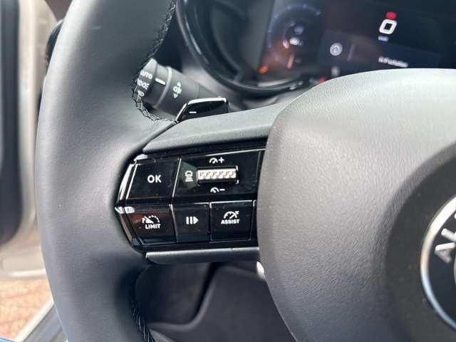 Fahrzeugbild eines Alfa Romeo Junior