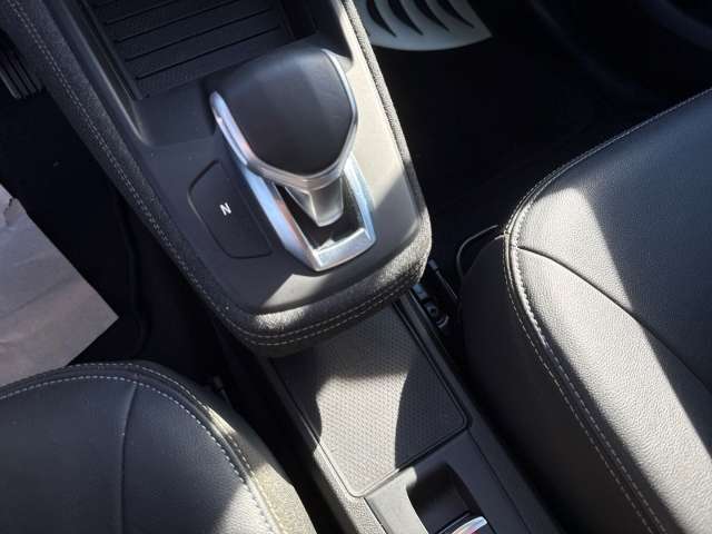 Fahrzeugbild eines Renault ZOE
