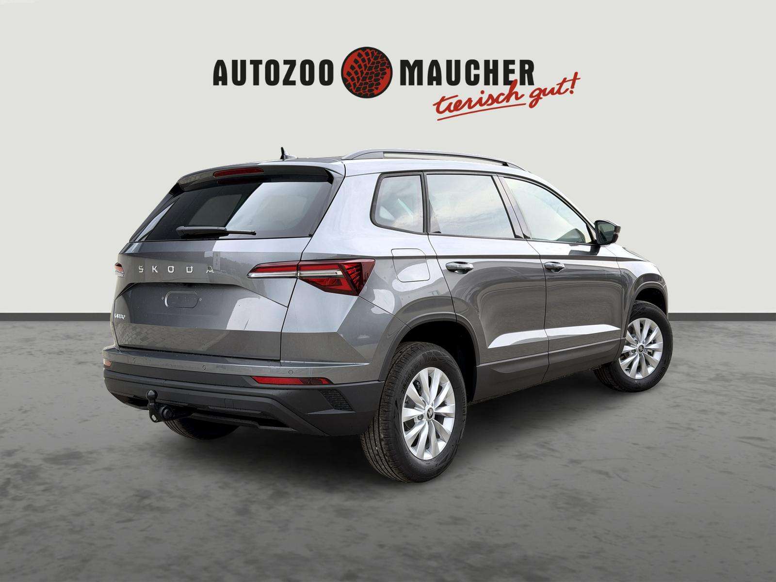 Fahrzeugbild eines Skoda Karoq
