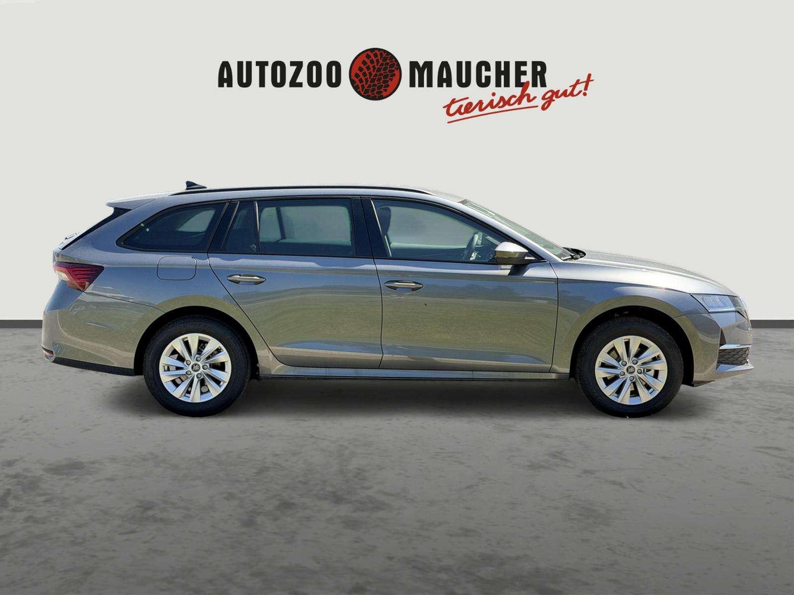 Fahrzeugbild eines Skoda Octavia