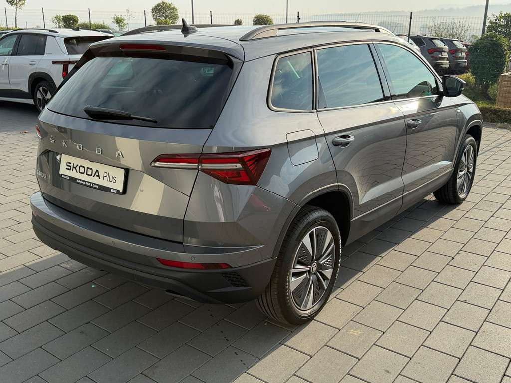 Fahrzeugbild eines Skoda Karoq